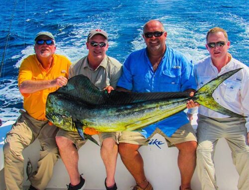 Exploring the Depths – Unveiling the Beauty of Fishing Charters in Jaco
