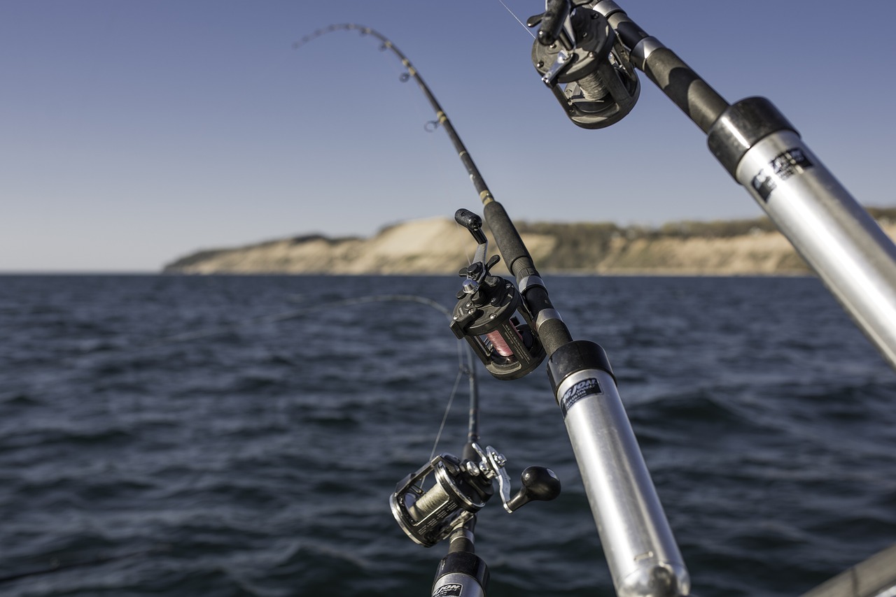 Navigating the Waves Your Ultimate Guide to Fishing Charters in