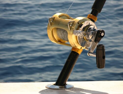 Reel in Adventure with Fishing Charters in Jaco